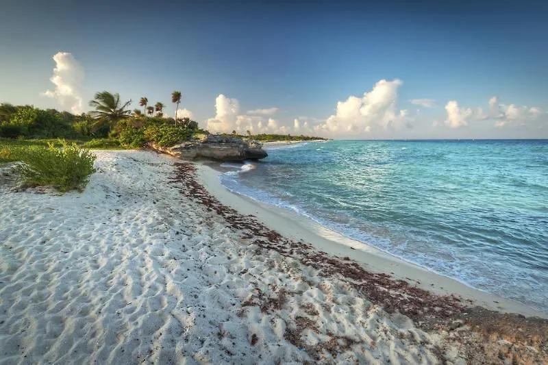 **** Hotel Select Inn Quinta Playa Del Carmen Mexico